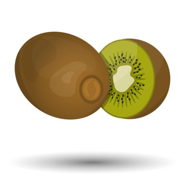 Vektör renkli kivi simgesi