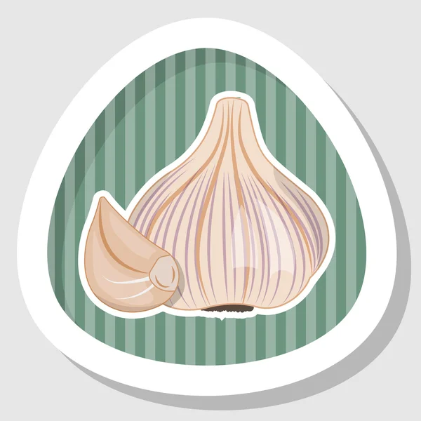 Garlic colorful icon — Stock Vector