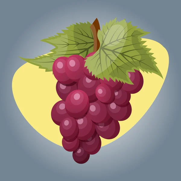 Illustration vectorielle du raisin — Image vectorielle