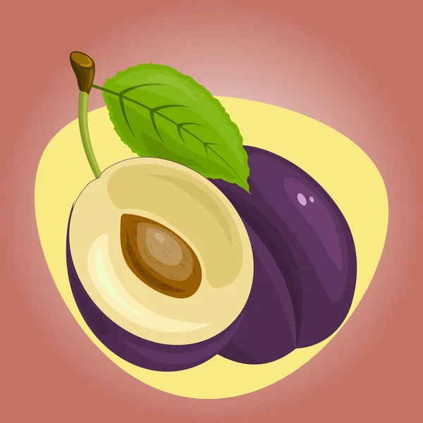 Vectorillustratie voor één plum — Stockvector