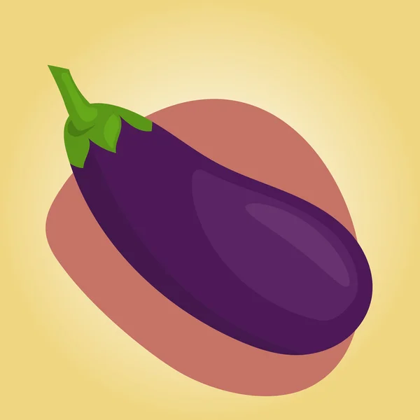 Vectorillustratie van aubergine — Stockvector