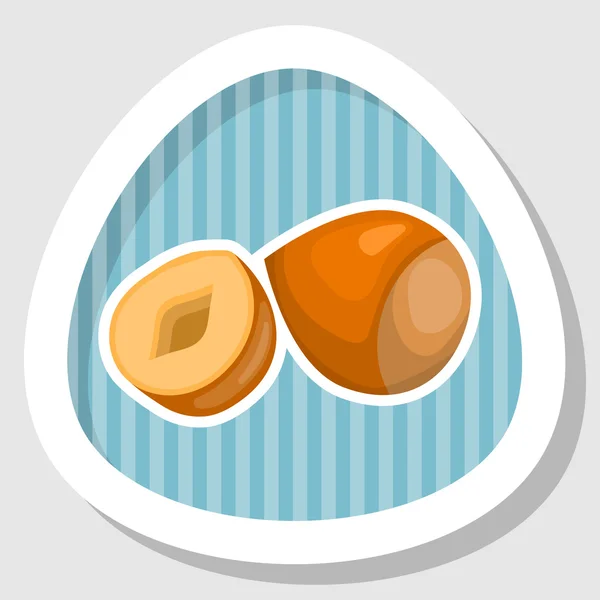 Hazelnut colorful icon — Stock Vector