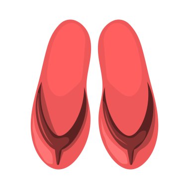 Plaj terlikleri renkli simge