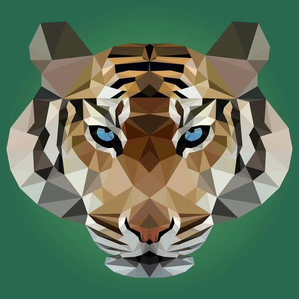 Ilustración vectorial del tigre sobre fondo verde — Vector de stock