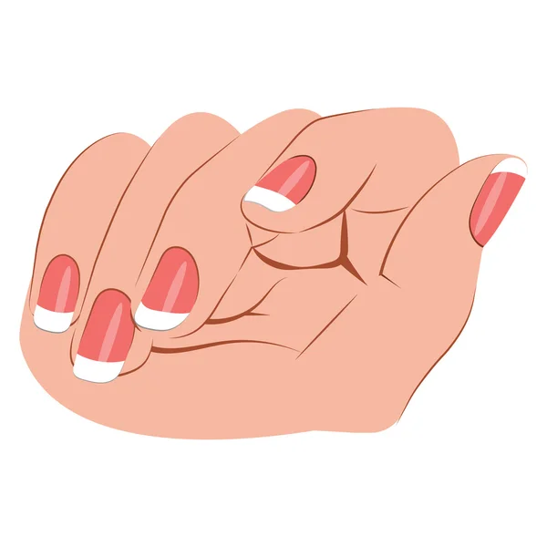 Vectorillustratie van de vrouw de hand op witte achtergrond — Stockvector