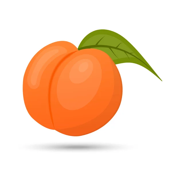 Vektor persika på vit bakgrund — Stock vektor