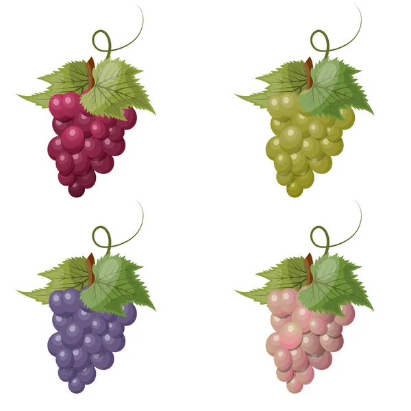 Vector ilustración de uvas — Vector de stock