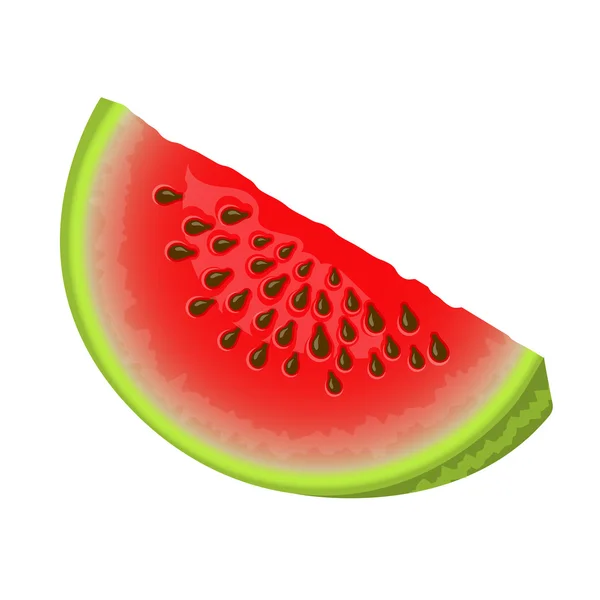 Vectorillustratie van sappige watermeloen — Stockvector