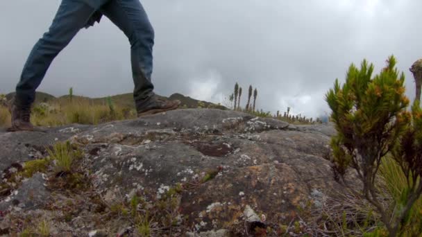 Man Kliver Och Står Sten Vandring — Stockvideo