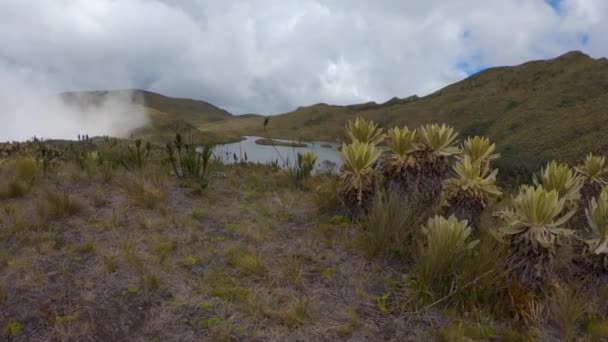 Homem Caminhando Direção Lago Topo Uma Montanha Usando Luvas Pretas — Vídeo de Stock