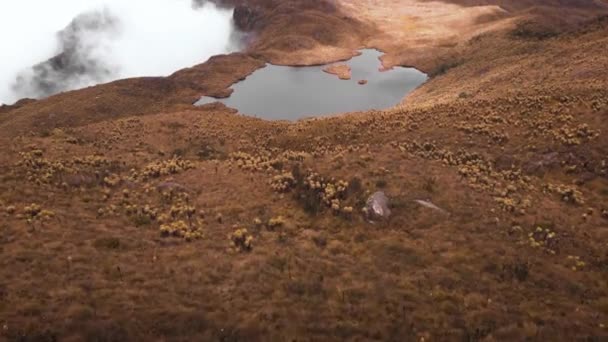 Cold Lake Top Mountain Surrounded Clouds Fog Colombia — Stock Video