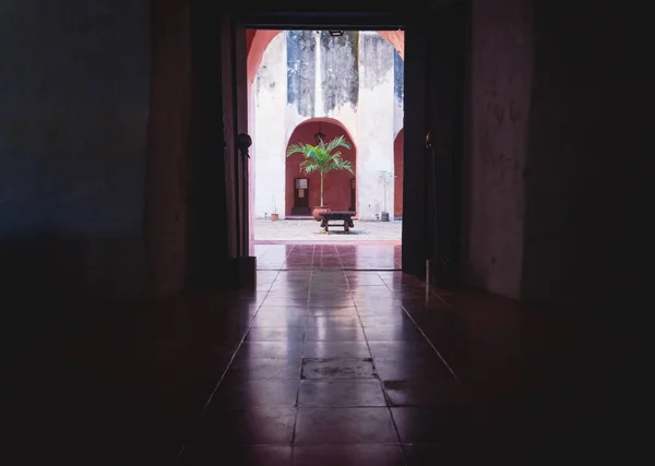 Widok Patio Palmą Dawnym Klasztorze San Bernardino Siena Valladolid Jukatan — Zdjęcie stockowe