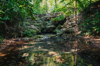Palenque, Chiapas, Meksika 'daki yemyeşil tropikal ormanda küçük şelaleleri olan huzurlu nehir akıntısı ve havuz.