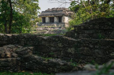 Palenque arkeolojik alanındaki harabe duvarların arkasındaki küçük Maya piramidi yeşil tropikal ağaçlarla çevrili, Chiapas, Meksika