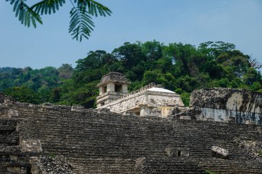 Maya tapınağı merdivenleri saray ve gözlem kulesiyle harap eder, Palanque, Chiapas, Meksika