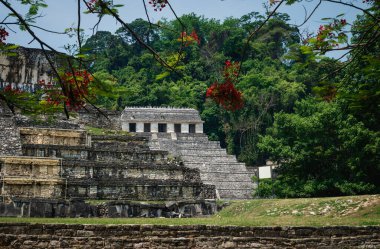 Palenque, Chiapas, Meksika 'da tropikal ormanlarla çevrili arkeolojik Maya bölgesindeki yazıtların ve sarayın tapınağı.