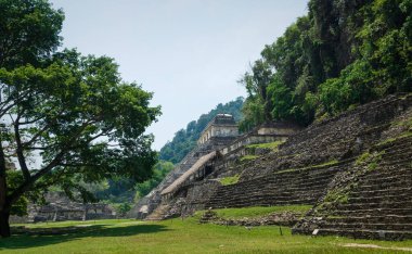 Palenque, Chiapas, Meksika 'daki tropikal ormanlarla çevrili arkeolojik Maya bölgesindeki tapınağın merdivenleri.