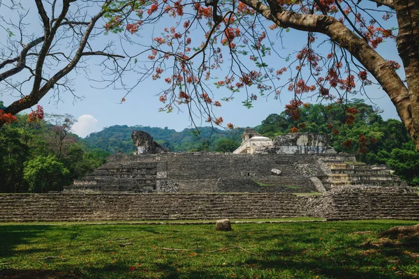 Ruinas Del Templo Maya Con Palacio Torre Observación Bajo Flores — Foto de Stock