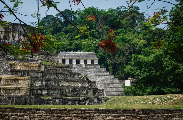 Templo Las Inscripciones Palacio Sitio Arqueológico Maya Rodeado Bosque Tropical — Foto de Stock