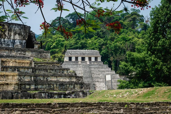 Templo Las Inscripciones Sitio Arqueológico Maya Rodeado Bosque Tropical Con — Foto de Stock