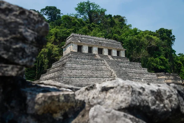 Świątynia Napisów Murem Ruiny Archeologicznym Miejscu Majów Otoczona Tropikalnym Lasem — Zdjęcie stockowe