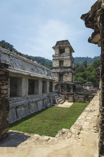 Ruinas Del Templo Maya Con Patio Palacio Torre Observación Bosque — Foto de Stock