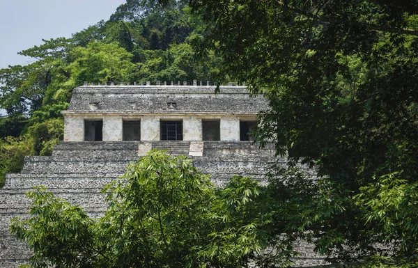 Templo Las Inscripciones Sitio Arqueológico Maya Rodeado Bosque Tropical Palenque — Foto de Stock