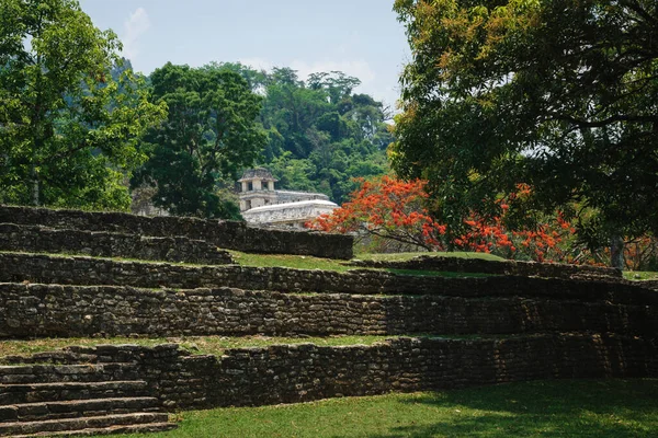 Ruinas Del Templo Maya Con Palacio Torre Observación Rodeada Árboles — Foto de Stock