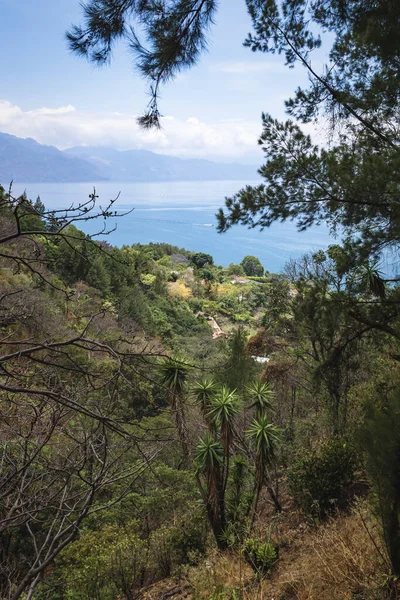 Vista Superior Montanha Através Vegetação Costa Longo Lago Atitlan Santa — Fotografia de Stock