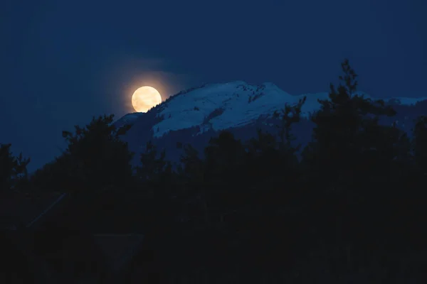 Supermoon Setting Dramatic Snowy Alpine Mountain Evergreen Forest Austria — 스톡 사진