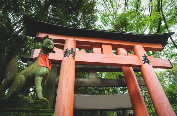 Estatua Fox Kisune Frente Puerta Orange Torii Exuberantes Bosques Santuario —  Fotos de Stock