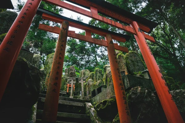 Vista Través Puertas Naranjas Torii Santuario Del Templo Cubierto Musgo —  Fotos de Stock