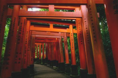 Japonya 'nın Kyoto kentindeki Fishimi Inari Taisha türbesindeki turuncu torii kapılarından geçen yol