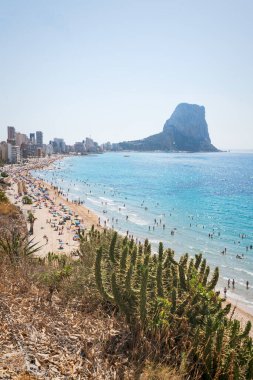 Kum plajının önünde Kaktüs, tatil, yüzme ve güneş banyosu için turistlerin bulunduğu Calpe kıyısı boyunca kaya oluşumu 'ifach', Costa Blanca, İspanya
