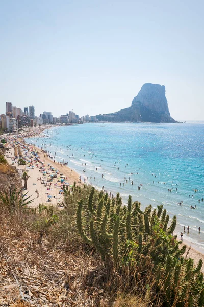 스페인 코스타 블랑카의 해변에서 관광객들 여가를 즐기고 일광욕을 즐기며 해안선을 — 스톡 사진