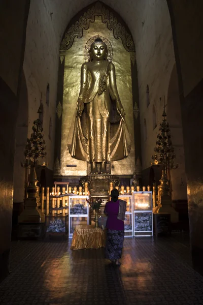 Donna che prega per buddha d'oro — Foto Stock