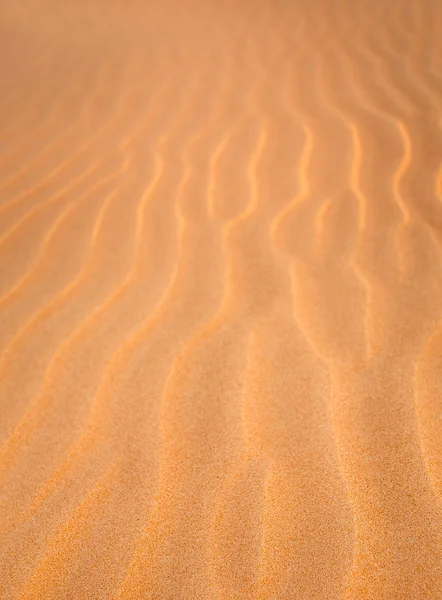 Sand Dune texture blurred background. Sand background