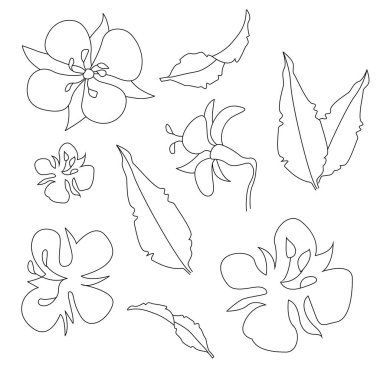 Şekil verilmiş çiçekler ve yapraklar. Ana hatları siyah ve beyaz çizim. Çocuklar için desenler, çizimler, dekorasyon ve boyama için uygun. Bahar teması 