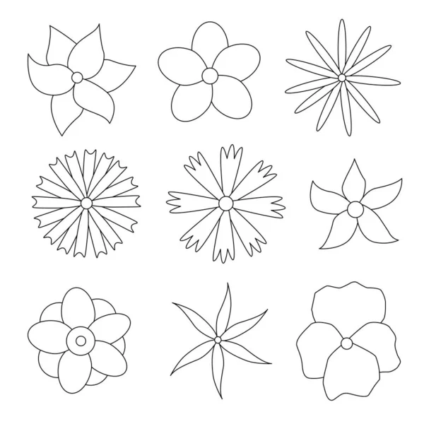 Flores Simples Diferentes Formas Esquema Ilustración Blanco Negro Adecuado Para — Archivo Imágenes Vectoriales