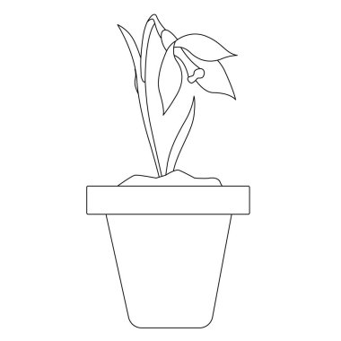 Çiçek saksısı, çiçek açan kartopu. Görüntü, web sitesi tasarımı için, ikonlar şeklinde, çiçekçilik küresi için, bahçeler ve sebze bahçeleri için kullanılabilir.. 