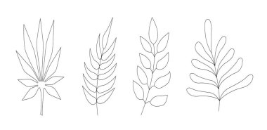 Çeşitli illüstrasyonlar, kartpostallar, afişler, web siteleri, davetiyeler, mevsimsel indirimler için farklı şekillerde yapraklar ve dallar. Vektör kontur resimleri.