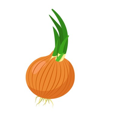 Pullu soğan soğanı ve filizlenmiş yeşil tüyler. Renk vektörü resmi.