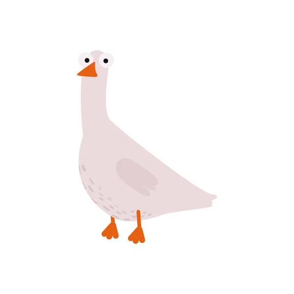 Flat Vector Domestic Goose White Background — Stock Vector