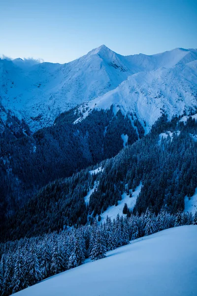 Hermoso Paisaje Montaña Invierno Día Frío Gran Altitud — Foto de Stock