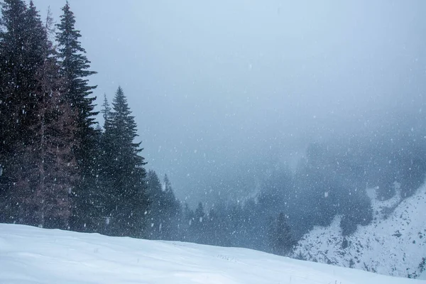 Nieva Las Montañas Cerca Del Bosque Pinos Invierno — Foto de Stock