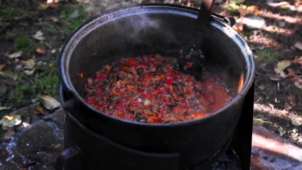 Cocina Tradicional Aplastado Verduras Setas Fuego Leña Patio — Vídeos de Stock