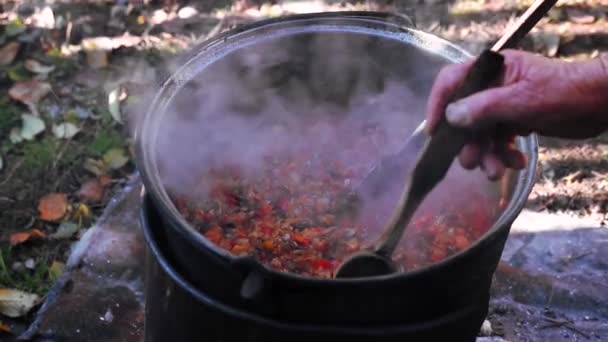 Cocina Tradicional Aplastado Verduras Setas Fuego Leña Patio — Vídeo de stock