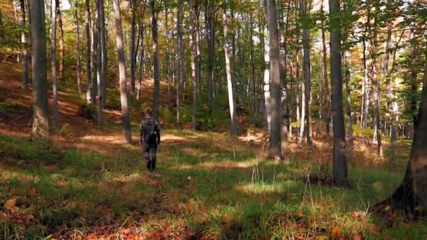 Człowiek Przechodzący Przez Las Jesienią — Wideo stockowe