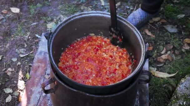 Cocinar Verduras Machacadas Fuego Leña Patio Comida Tradicional — Vídeo de stock