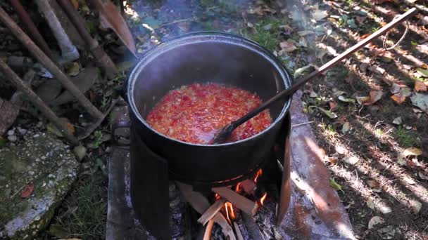 Cozinhar Vegetais Esmagados Fogo Madeira Quintal Comida Tradicional — Vídeo de Stock